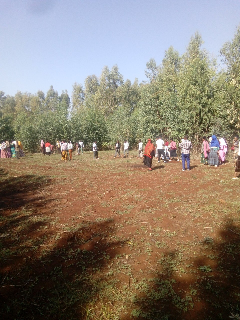 የፍኖተ ዳሞት ፖሊ ቴክኒክ ኮሌጅ ችግኝ ተከላ ፕሮግራም